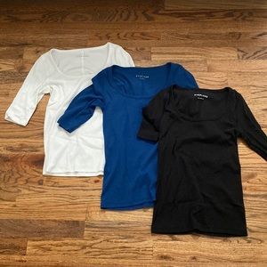 3 everlane basic fitted tee.